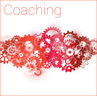 Team Coaching